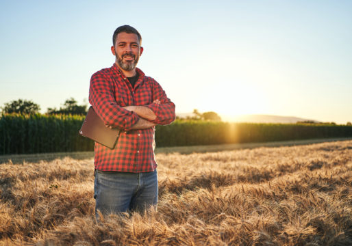 Onde comprar fertilizantes agrícolas pela internet?