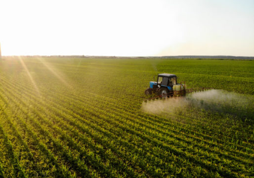 Como se cadastrar na plataforma Yagrow? Veja o passo a passo